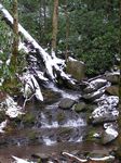 Click to see big picture (360x480 pixels; 66 KB))