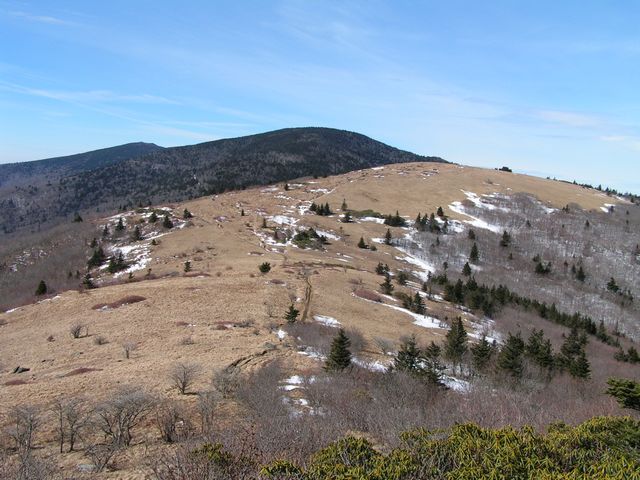 Click to display next picture