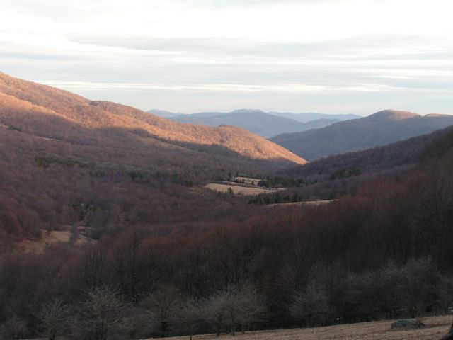 Click to display next picture