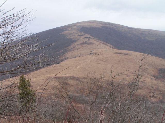 Click to display next picture